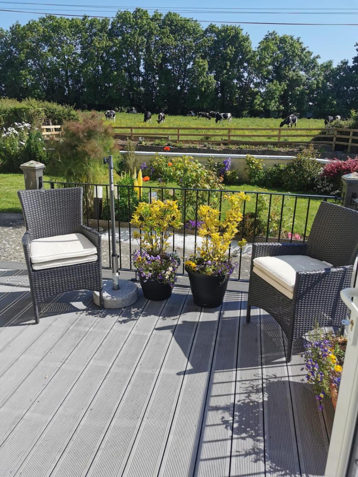 Tranquil Unit Close To Kells Kilkenny Exteriér fotografie